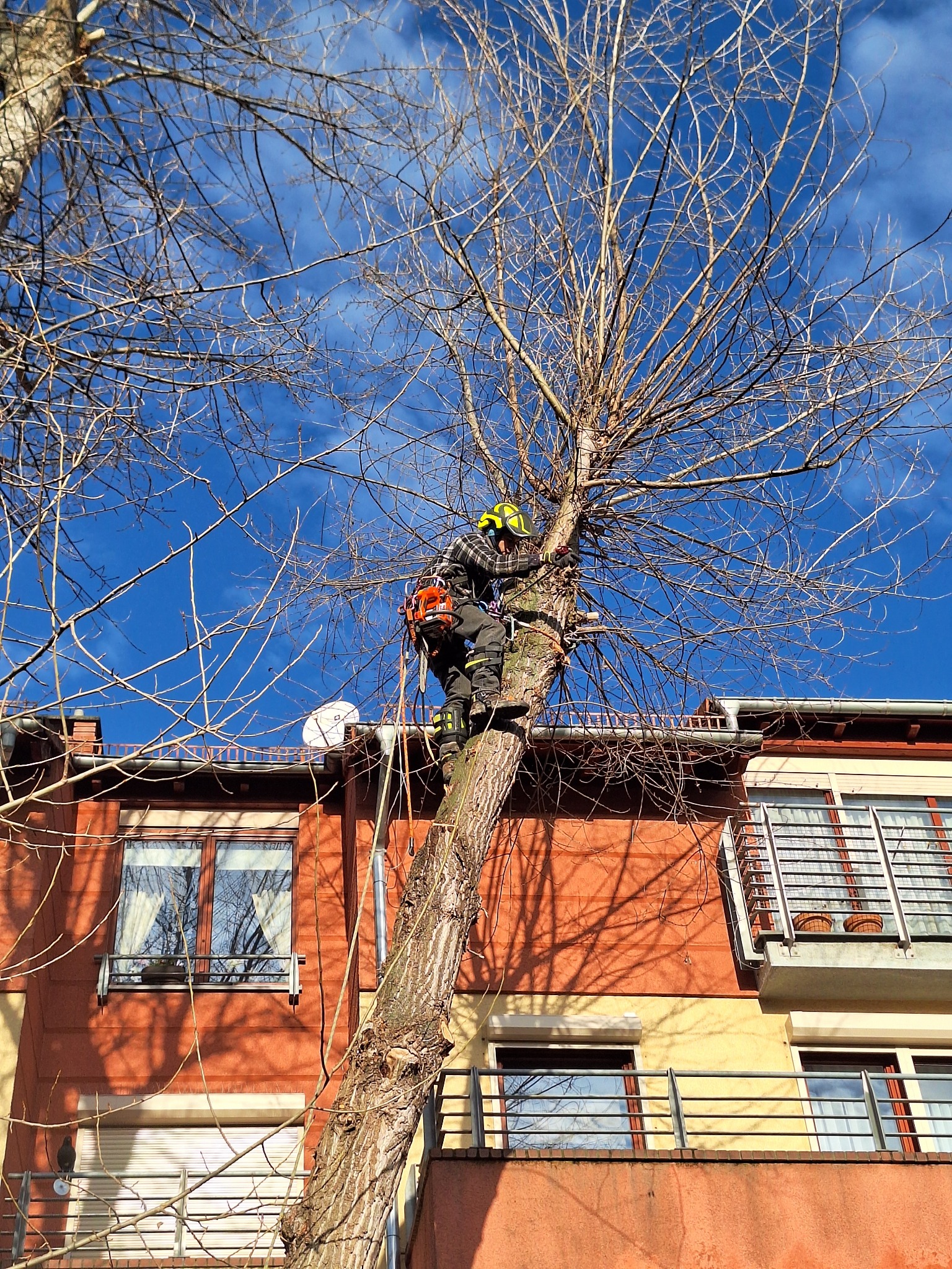 Wycinka obsuwającego się na budynek drzewa