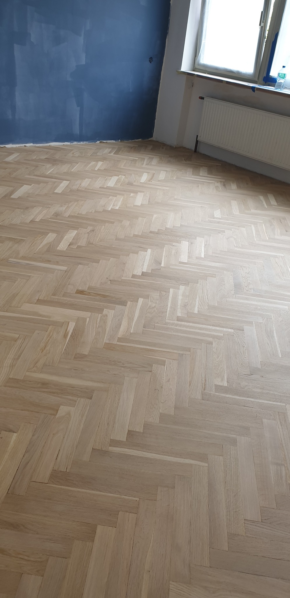 Jasny parkiet ułożony we wzór jodełki francuskiej, świeżo położony w pokoju z granatową ścianą i grzejnikiem pod oknem.