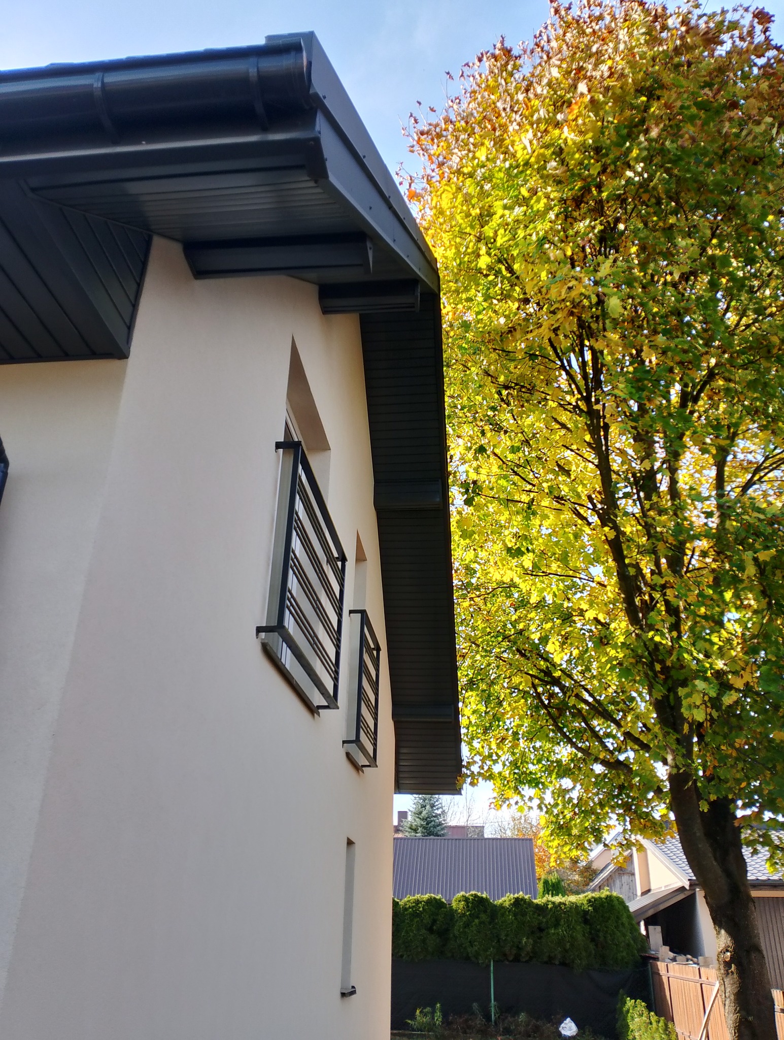 Elewacja jasnego domu z ciemną podbitką dachową i rynnami, widok z dołu na tle drzewa z żółtymi liśćmi.