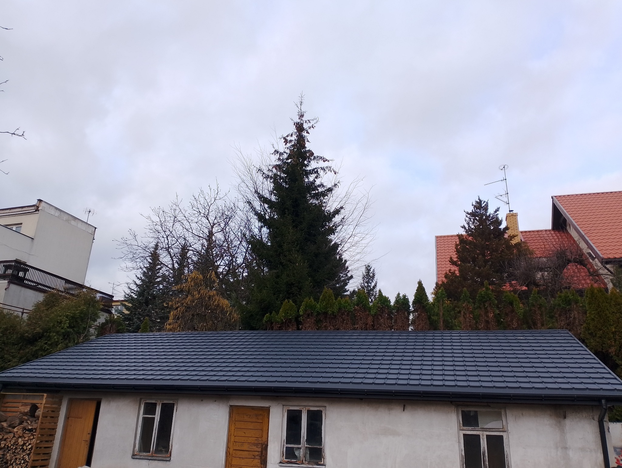 Nowy, grafitowy dach z blachodachówki modułowej na parterowym budynku gospodarczym, na tle drzew iglastych i pochmurnego nieba.