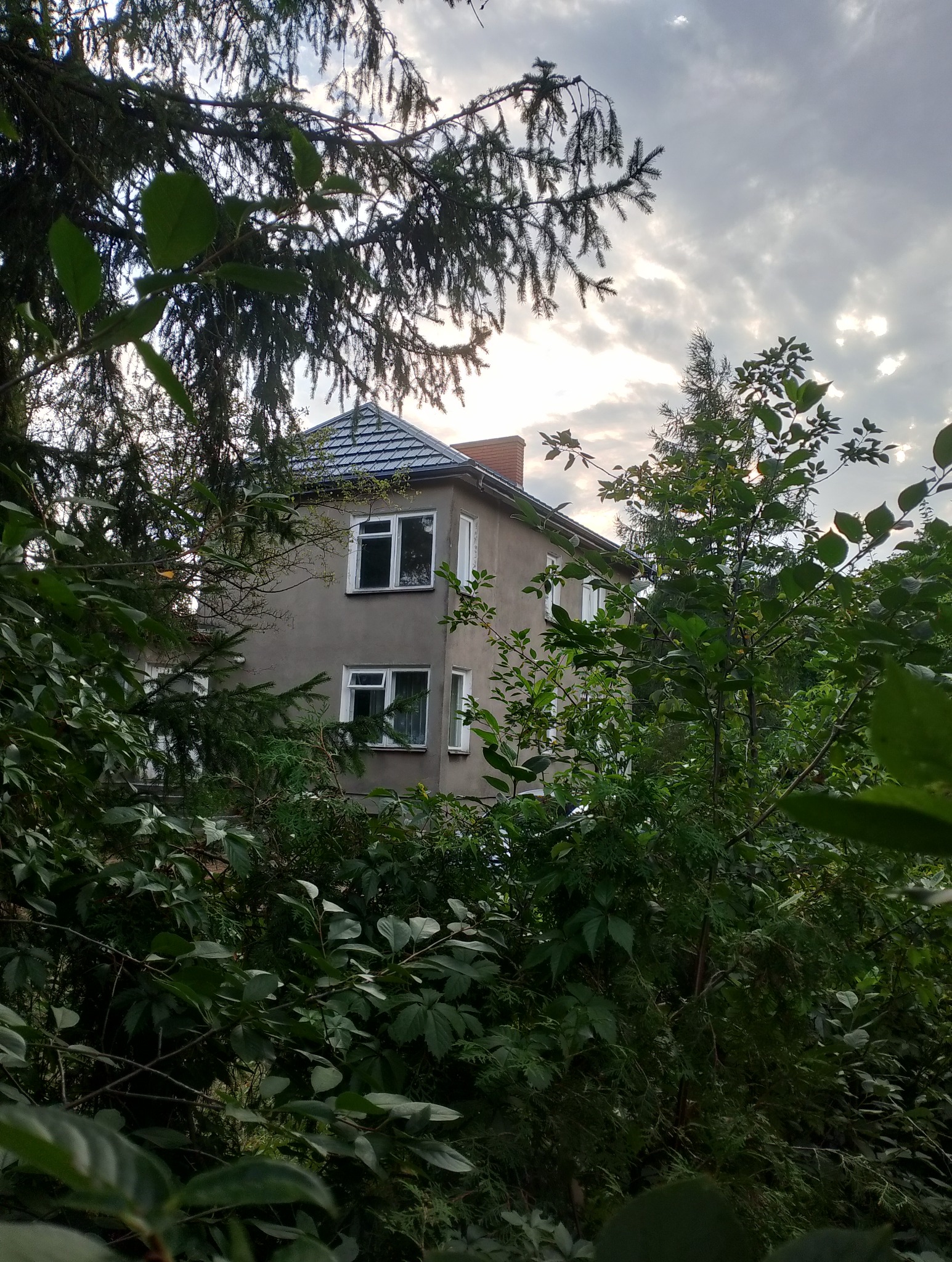 Dwupiętrowy dom z szarym dachem krytym dachówką, widoczny zza gęstej zieleni drzew i krzewów. Ciemne chmury na niebie w tle.