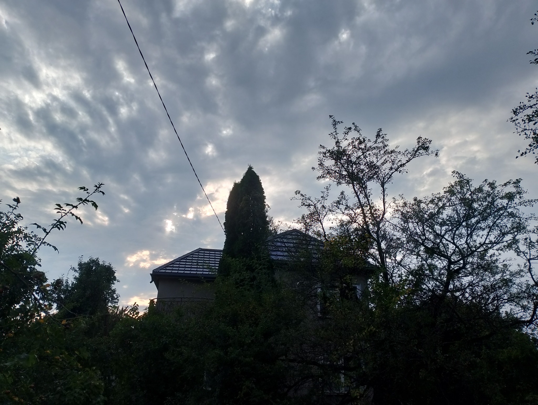 Dom z ciemną dachówką widoczny zza zieleni drzew na tle pochmurnego nieba. Widoczny fragment elewacji i wysoki iglak.