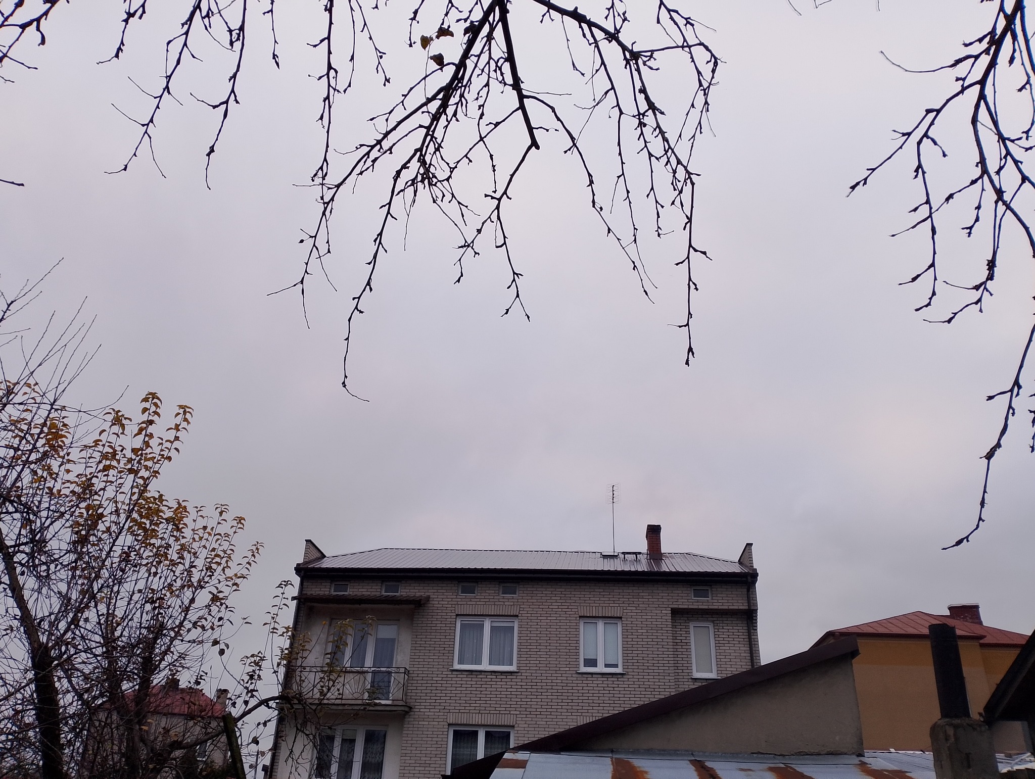 Dwupiętrowy budynek z jasnej cegły pod pochmurnym niebem, z nowym, błyszczącym, ciemnym dachem. Gałęzie drzew na pierwszym planie dodają głębi.