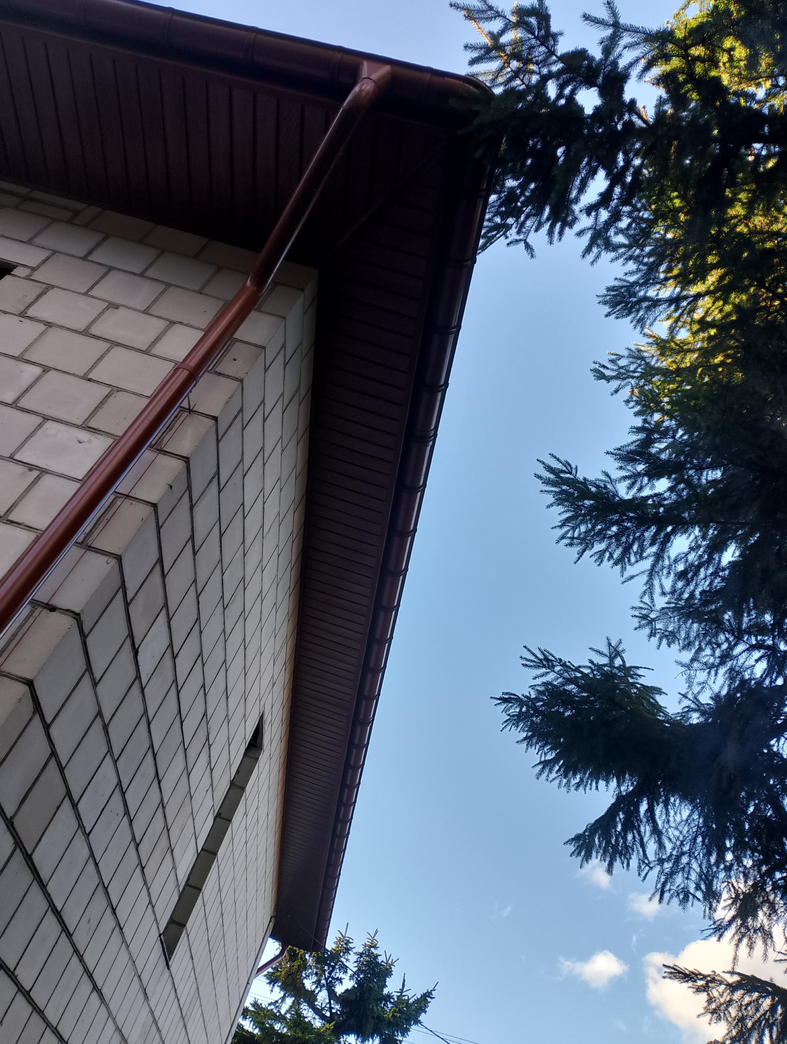 Nowa, brązowa rynna pionowa na tle jasnej ściany z bloczków i błękitnego nieba z fragmentami drzew iglastych. Ujęcie z dołu, podkreślające estetykę.