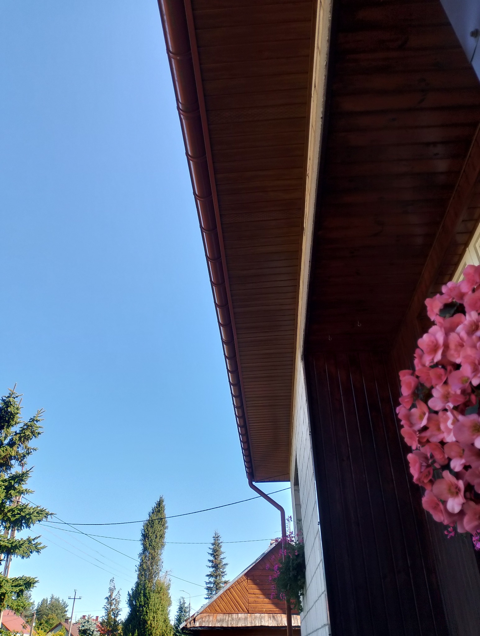 Brązowa rynna i podbitka dachowa na tle błękitnego nieba. Widoczne drzewa iglaste i fragment dachu sąsiedniego budynku. Kwiaty w doniczce.