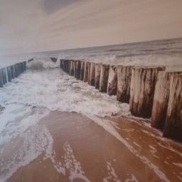 Danbud - Drewniane pale wbite w piasek tworzące falochron na plaży, z falami uderzającymi o konstrukcję, widok z poziomu piasku, pochmurne niebo.