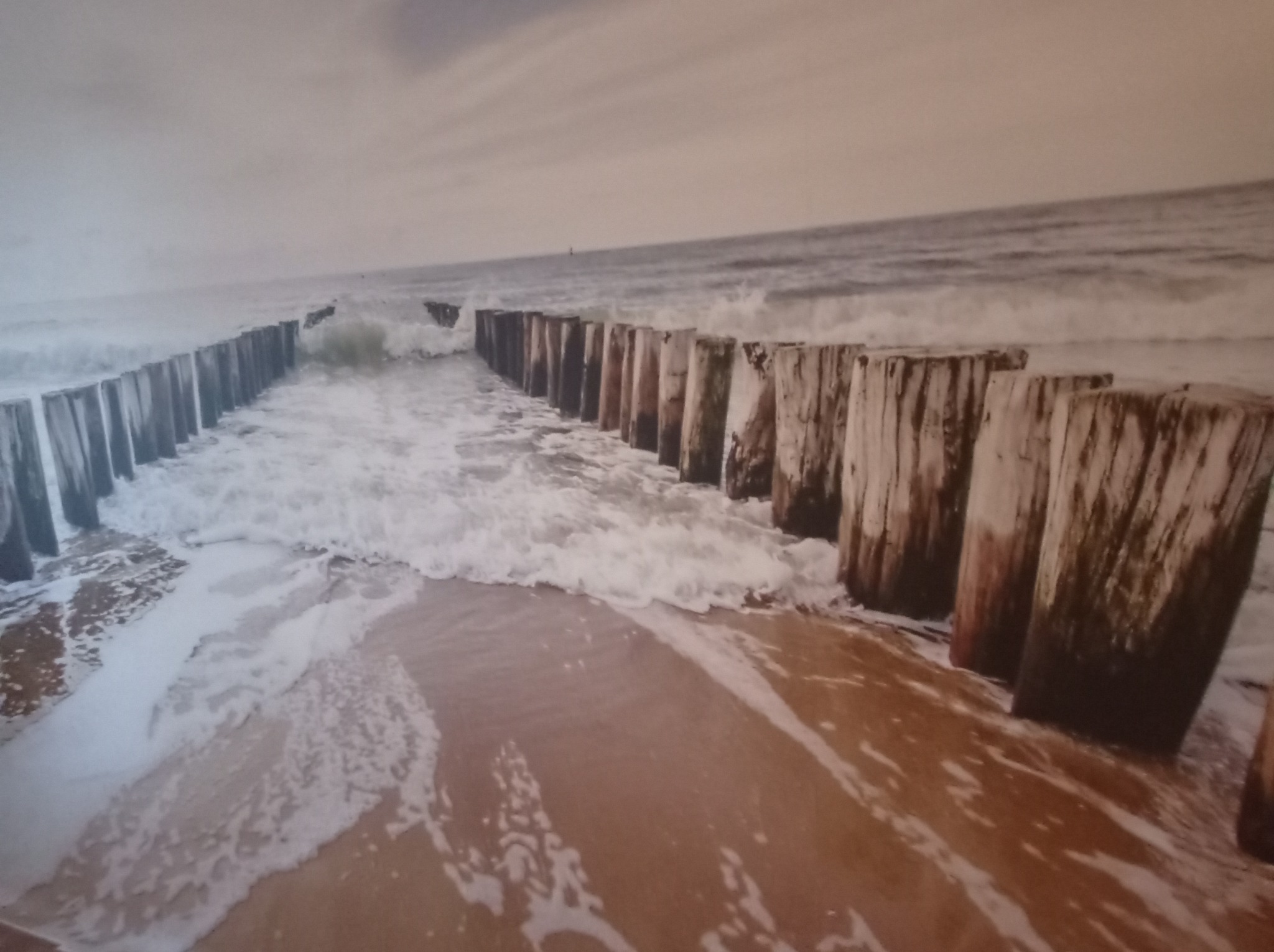 Drewniane pale wbite w piasek tworzące falochron na plaży, z falami uderzającymi o konstrukcję, widok z poziomu piasku, pochmurne niebo.
