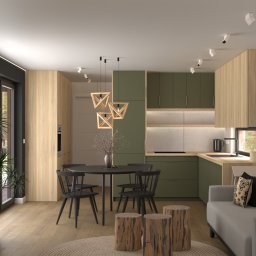 Projektowanie mieszkania Lublin 1