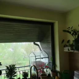 Widok z okna na balkon z małą szklarnią, roślinami doniczkowymi i kwitnącym drzewem w oddali.