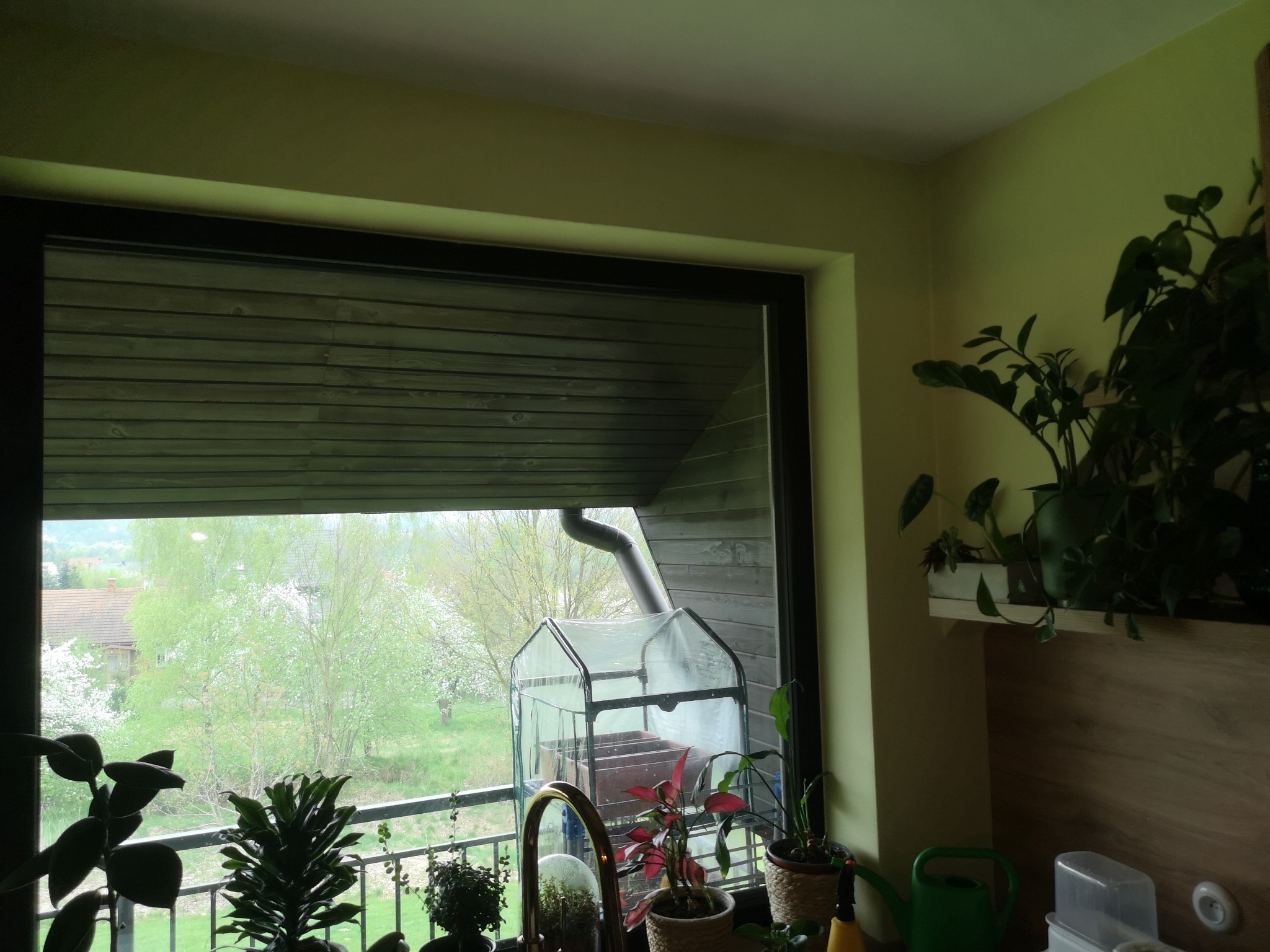 Widok z okna na balkon z małą szklarnią, roślinami doniczkowymi i kwitnącym drzewem w oddali.