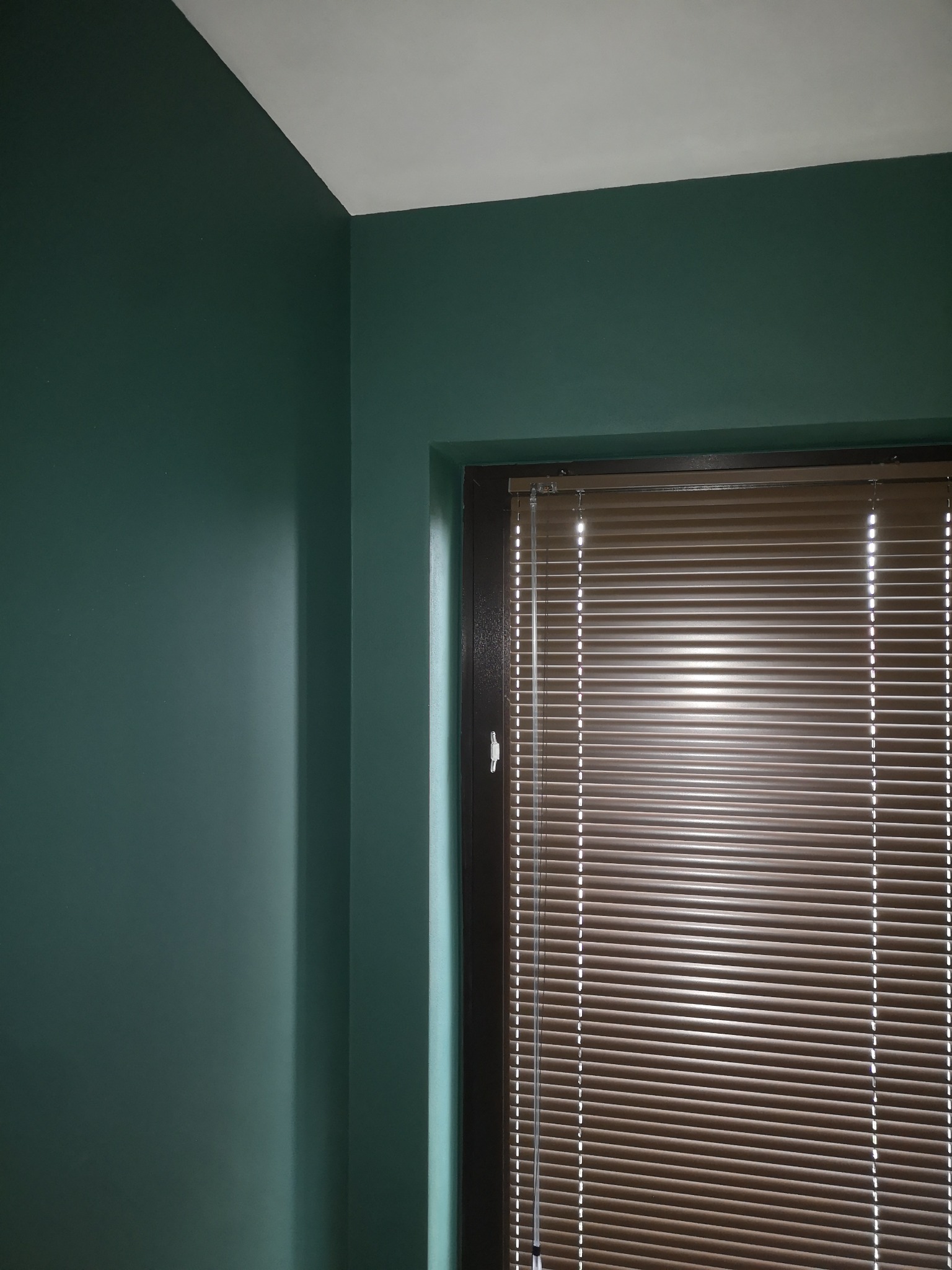 Fragment pokoju z pomalowanymi na ciemnozielono ścianami, białym sufitem i oknem z brązowymi żaluzjami.