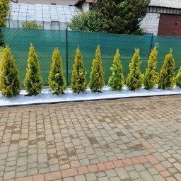 FHU EARTHWORKS AND GARDENING - Solidne Ścinanie Drzew Olkusz