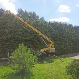 FHU EARTHWORKS AND GARDENING - Doskonała Pielęgnacja Drzew w Olkuszu