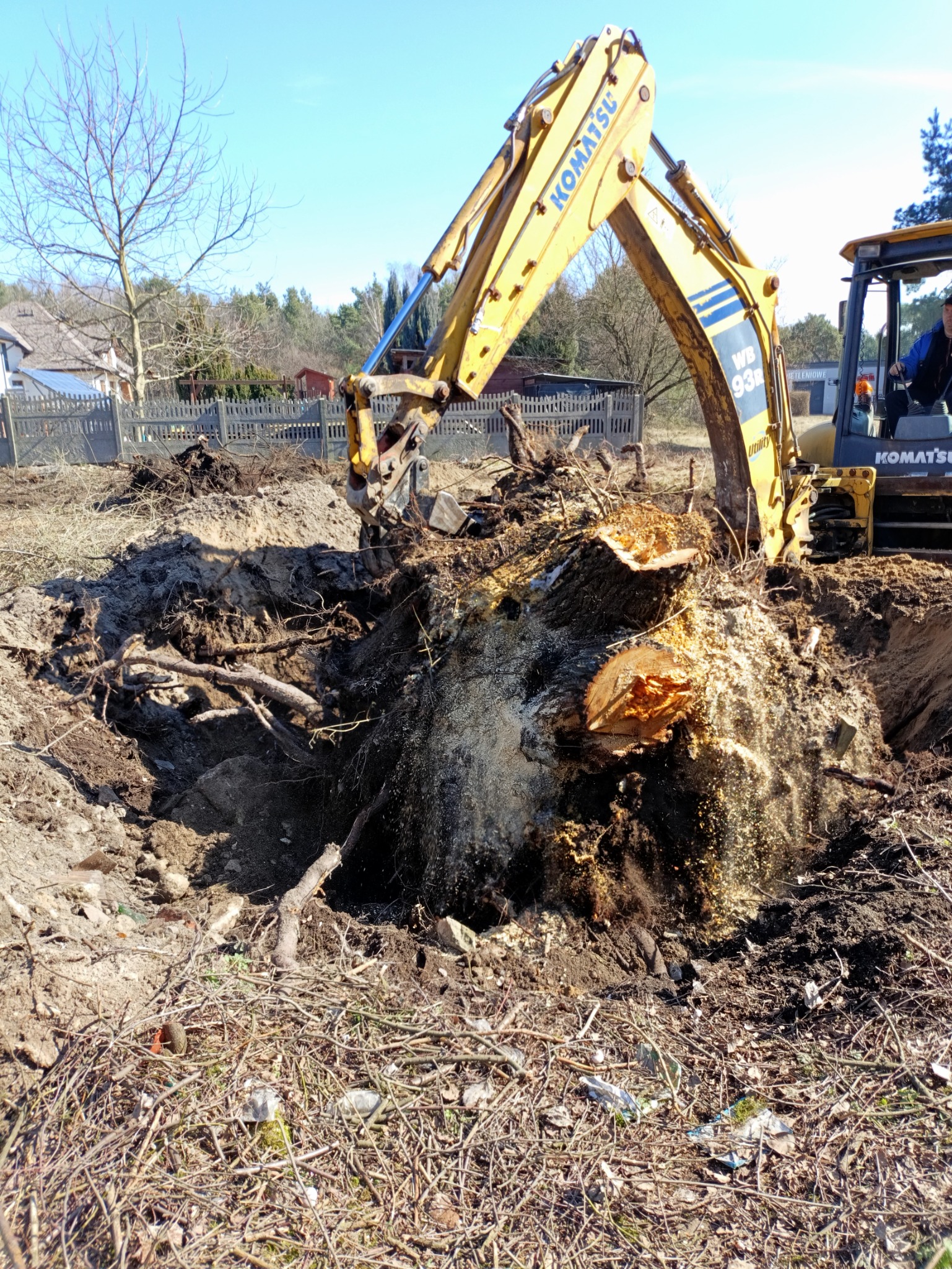 Żółta koparka Komatsu usuwa karpę drzewa z ziemi, widoczne korzenie i fragmenty pnia. Rozkopany teren, w tle zabudowa i błękitne niebo.