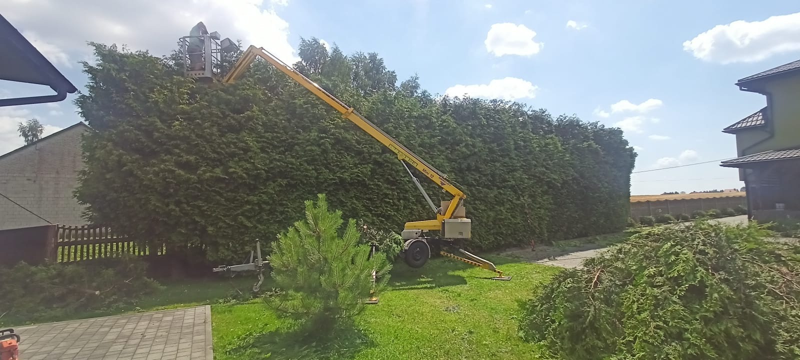 Przycinanie wysokiego żywopłotu z tui za pomocą podnośnika koszowego na posesji z domem. Zielony trawnik i niebo z chmurami w tle.