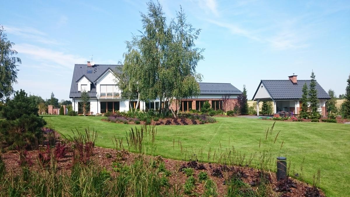 Rozległy, wypielęgnowany trawnik przed nowoczesnym domem z białymi ścianami i ciemną dachówką, z nasadzeniami ozdobnymi z traw i kwiatów oraz młodymi drzewami.