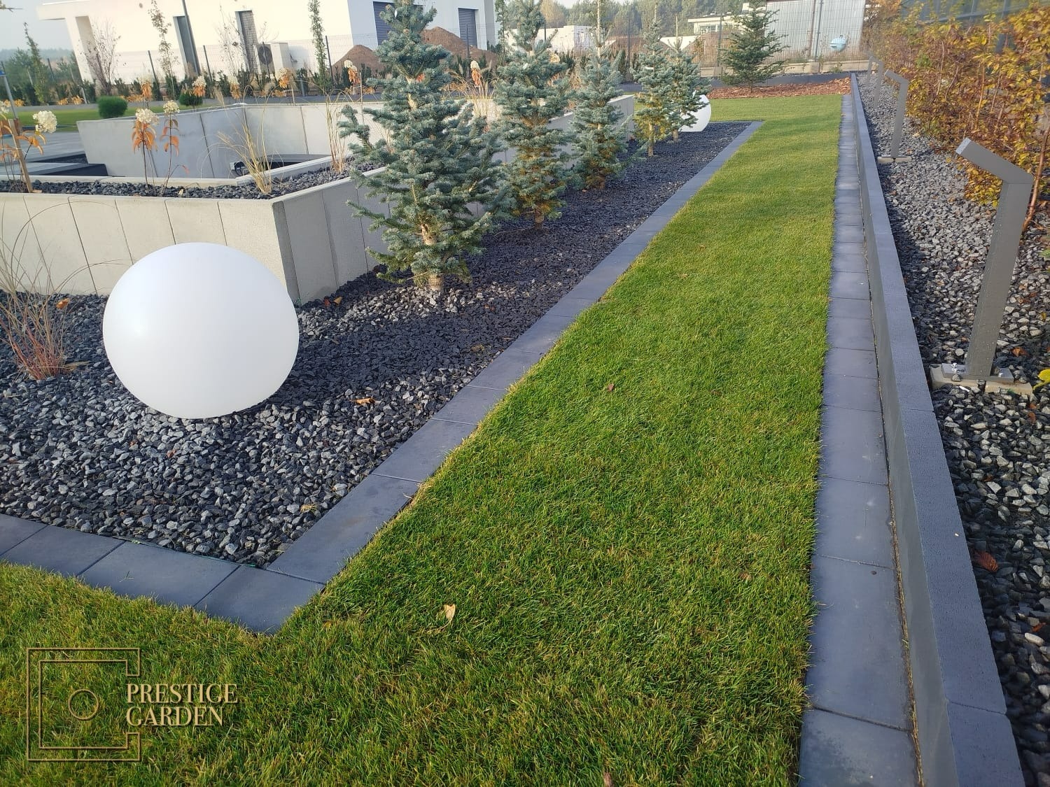Nowoczesny ogród z równo przystrzyżonym trawnikiem, rzędem małych świerków serbskich wysypanych grysem, betonowymi obrzeżami i kulistymi lampami ogrodowymi.