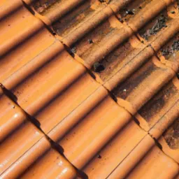 Częściowo oczyszczony dach z pomarańczowej dachówki, widoczna różnica między umytą a zabrudzoną powierzchnią, fragment buta robotnika w dolnym rogu.