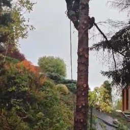 Koszenie trawy Kraków 2