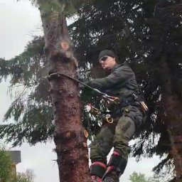 Koszenie trawy Kraków 3