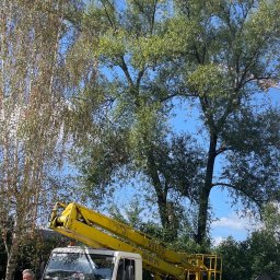 Wycinka z użyciem podnośnika koszowego 18m