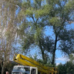 Wycinka z użyciem podnośnika koszowego 18m