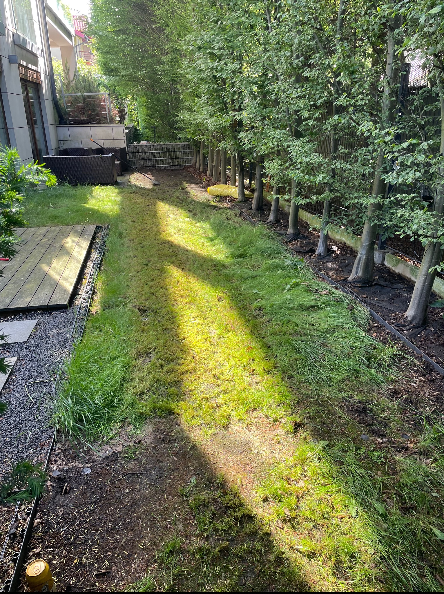 Świeżo skoszony trawnik wzdłuż rzędu drzew, z widocznymi śladami koszenia i resztkami trawy. Częściowo ocieniony, z drewnianym tarasem w tle.