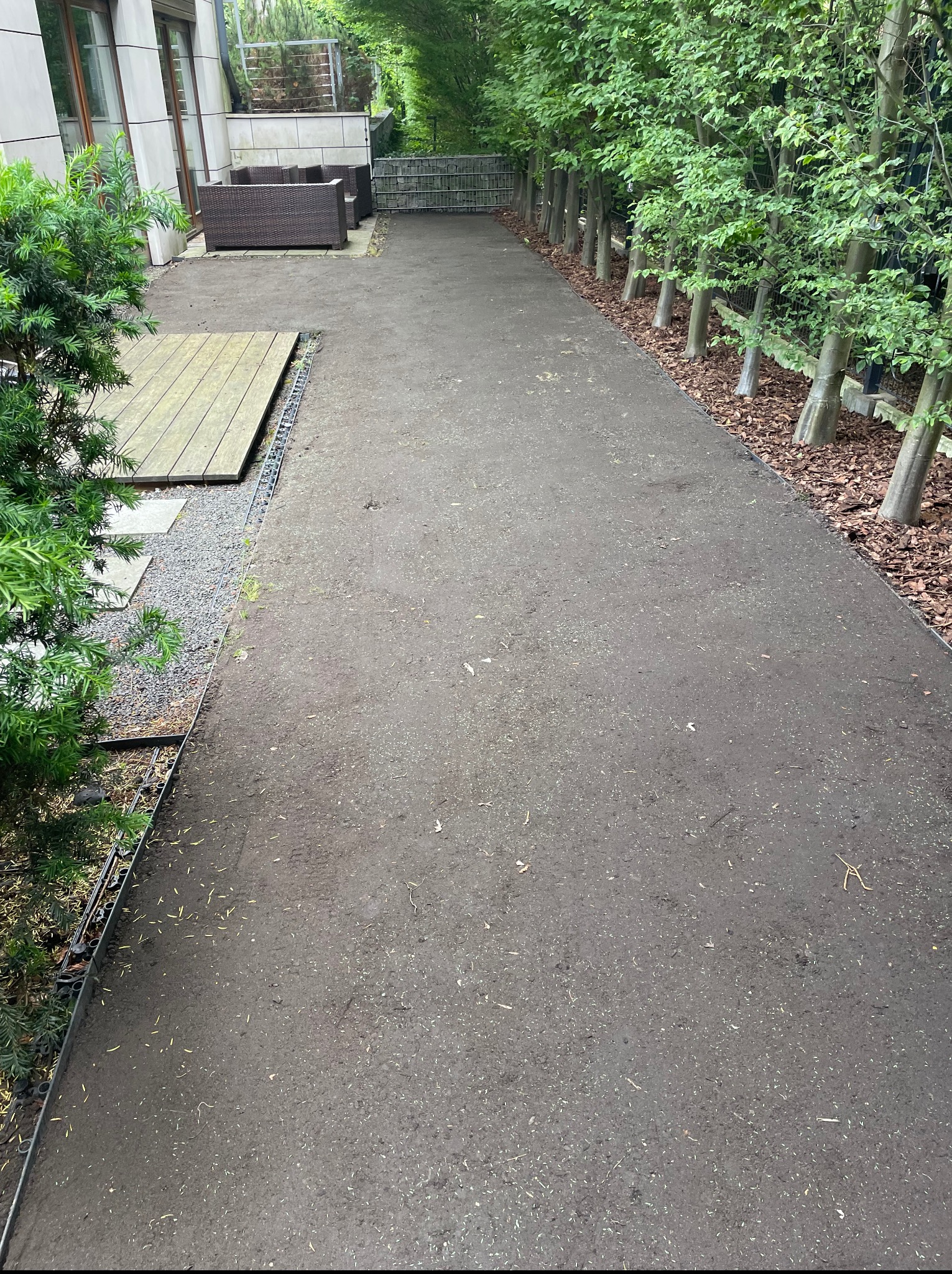 Przygotowany teren pod trawnik w ogrodzie, widoczne drzewa wzdłuż ścieżki, meble ogrodowe w tle. Świeżo wyrównana ziemia czeka na zasianie trawy.