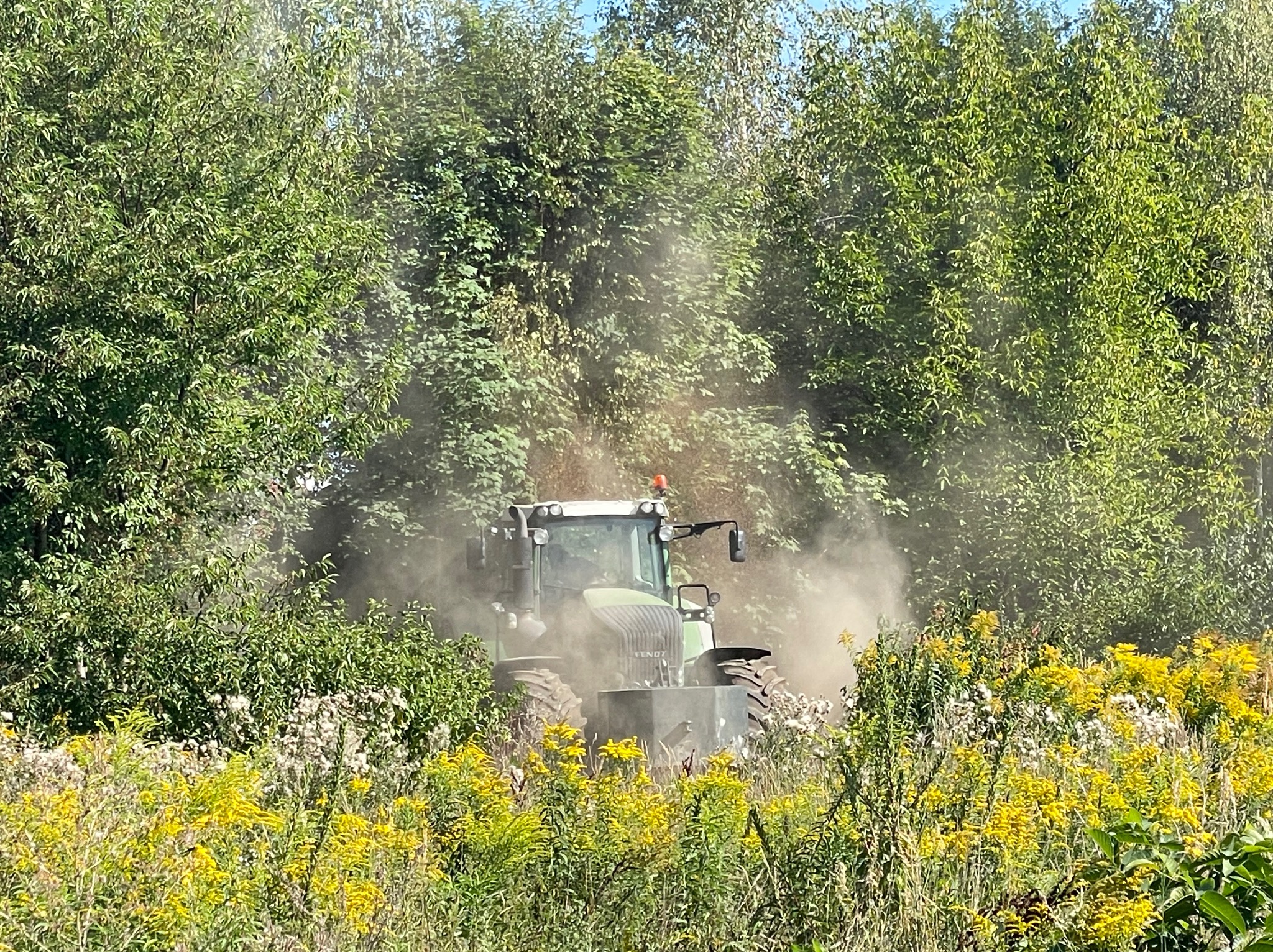 Zielony traktor Fendt w akcji na tle drzew i kwitnących żółtych kwiatów, unoszący się pył, sugerujący prace polowe lub pielęgnacyjne.