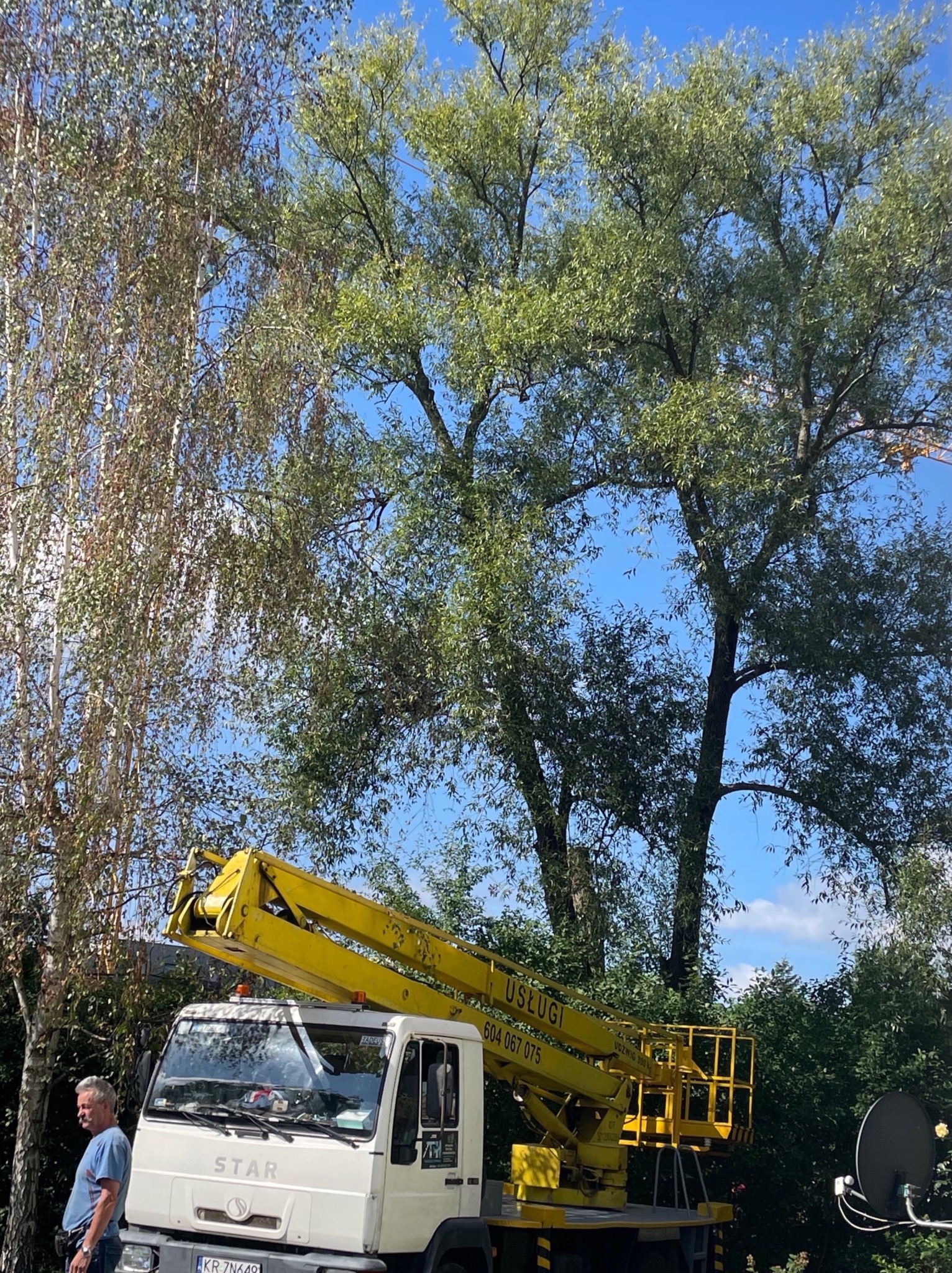 Wycinka z użyciem podnośnika koszowego 18m