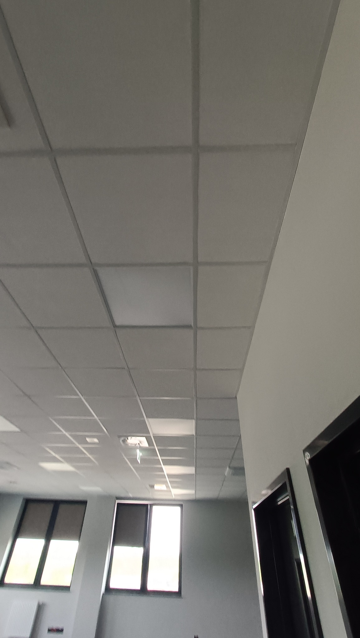 Kwadratowa, kasetonowa konstrukcja sufitu podwieszanego w biurze, widok z dołu, z widocznymi oknami i częścią ściany z czarnymi obramowaniami.