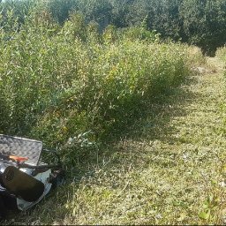 PromoRent - Fragment ogrodu z wykoszoną ścieżką wśród wysokiej trawy i zarośli, z widoczną kosiarką listwową po lewej stronie.