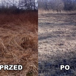 Koszenie trawy Stargard 4