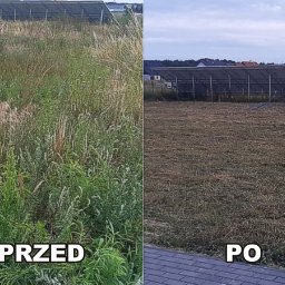 PromoRent - Porównanie terenu przed i po skoszeniu trawy, widoczne wysokie chwasty po lewej stronie i krótko przystrzyżona trawa po prawej, w tle panele słoneczne.