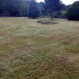 Koszenie trawy Stargard 2