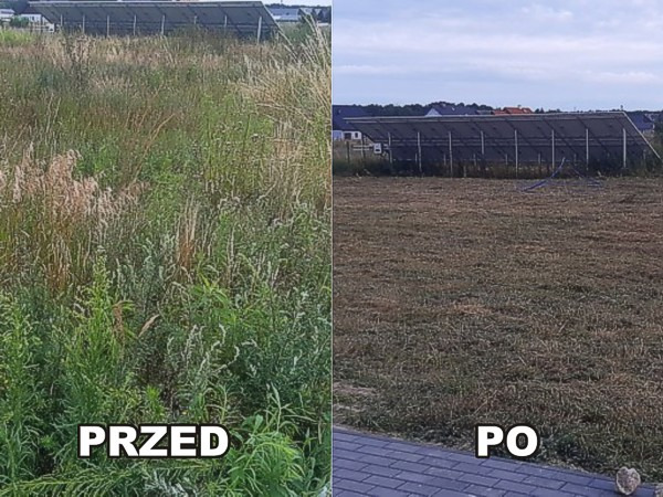 Porównanie terenu przed i po skoszeniu trawy, widoczne wysokie chwasty po lewej stronie i krótko przystrzyżona trawa po prawej, w tle panele słoneczne.