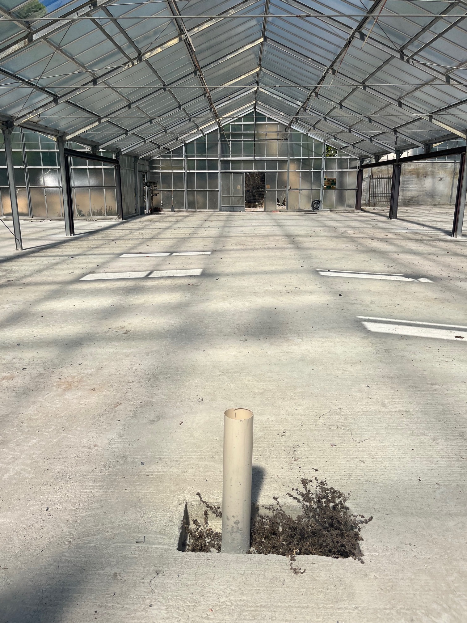 Wnętrze szklarni z betonową podłogą i metalową konstrukcją dachu. Widoczne ślady po roślinach i rura wystająca z podłogi. Światło słoneczne wpada przez szklany dach.