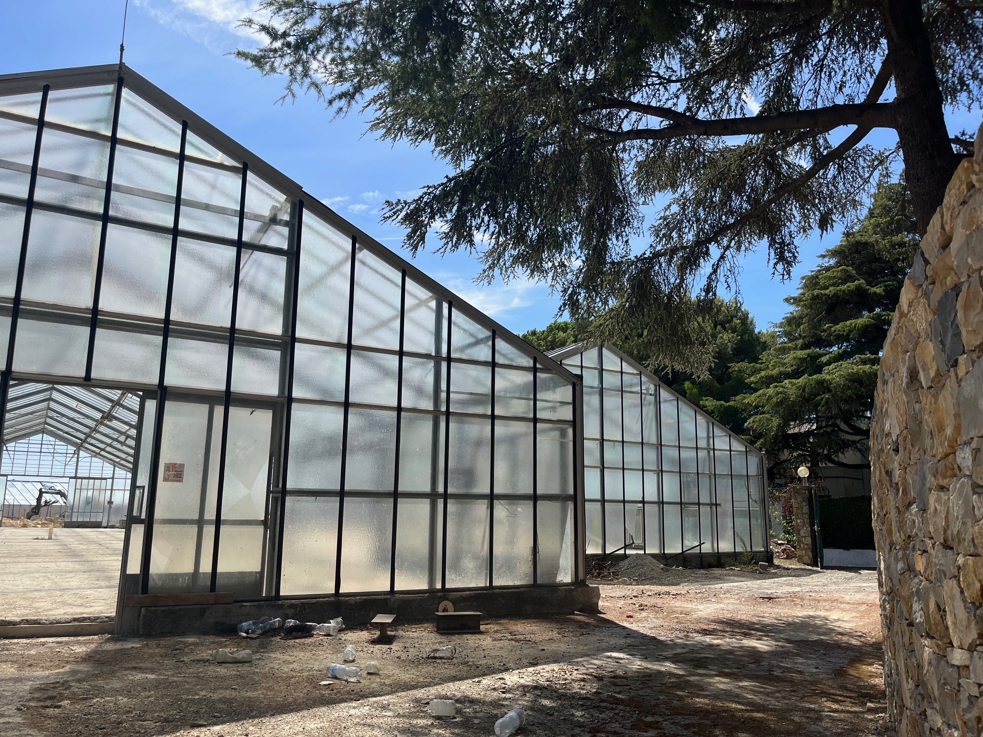 Dwie szklarnie z metalową konstrukcją, widoczne z zewnątrz, otoczone drzewami i kamiennym murem. Wnętrze jednej z nich częściowo widoczne, z ziemią i śladami prac.