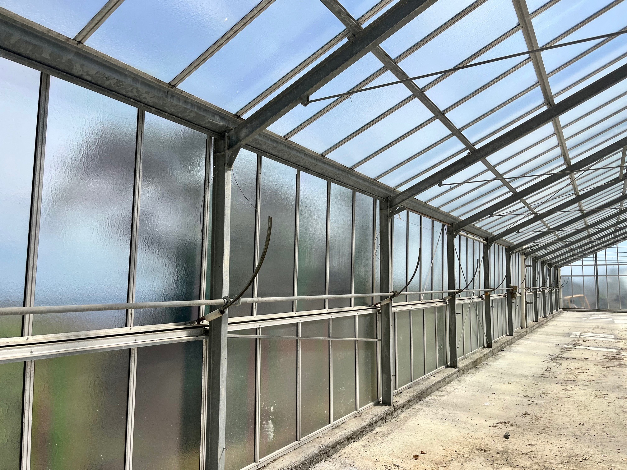 Wnętrze szklarni z metalową konstrukcją i matowymi szybami, widok z dołu na sufit i ściany, perspektywa zbieżna w głąb, betonowa podłoga.