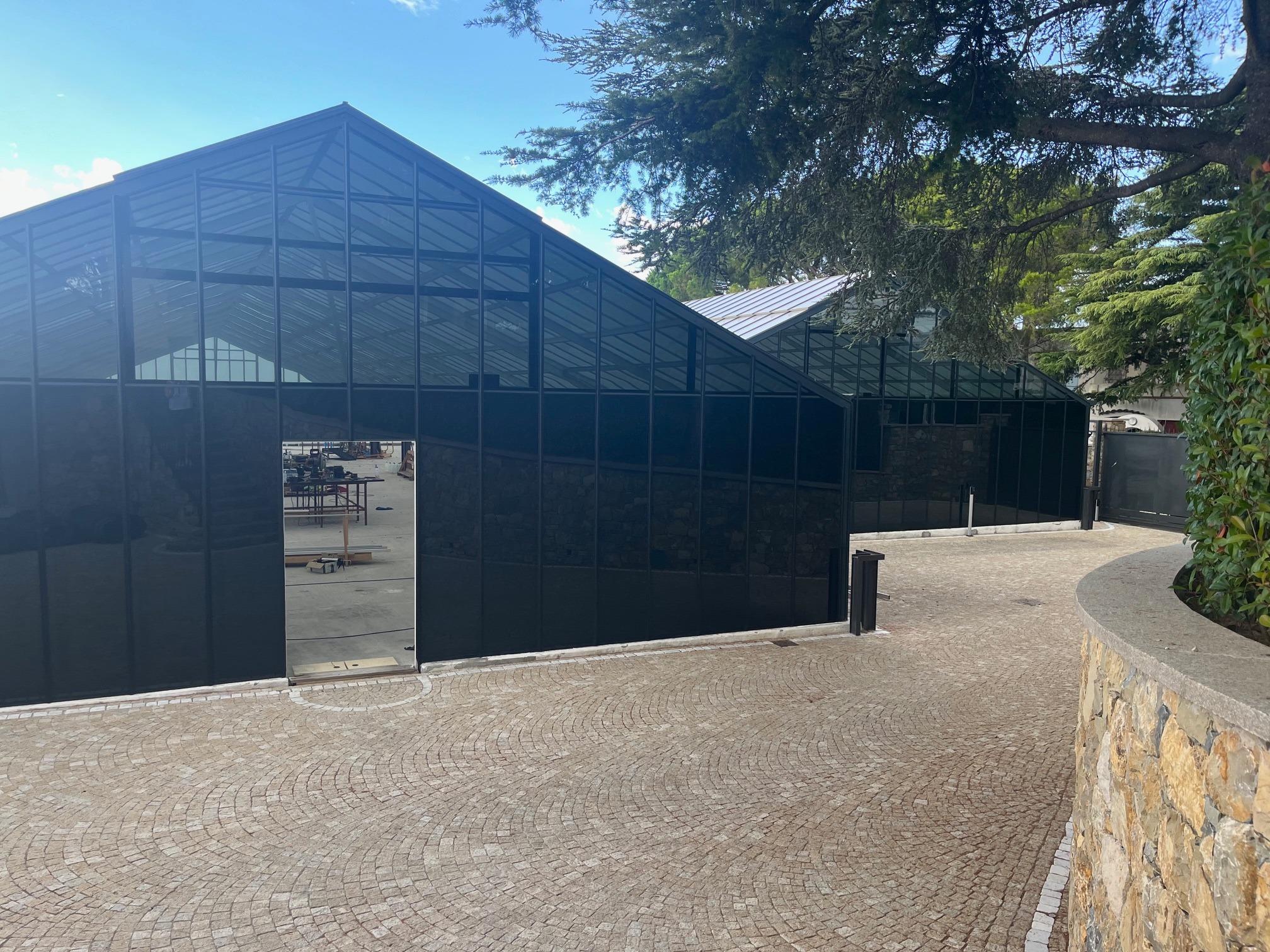 Nowoczesne, czarne szklarnie z metalową konstrukcją i brukowanym podjazdem, otoczone zielenią drzew. Widoczne odbicie wnętrza w szklanej ścianie.
