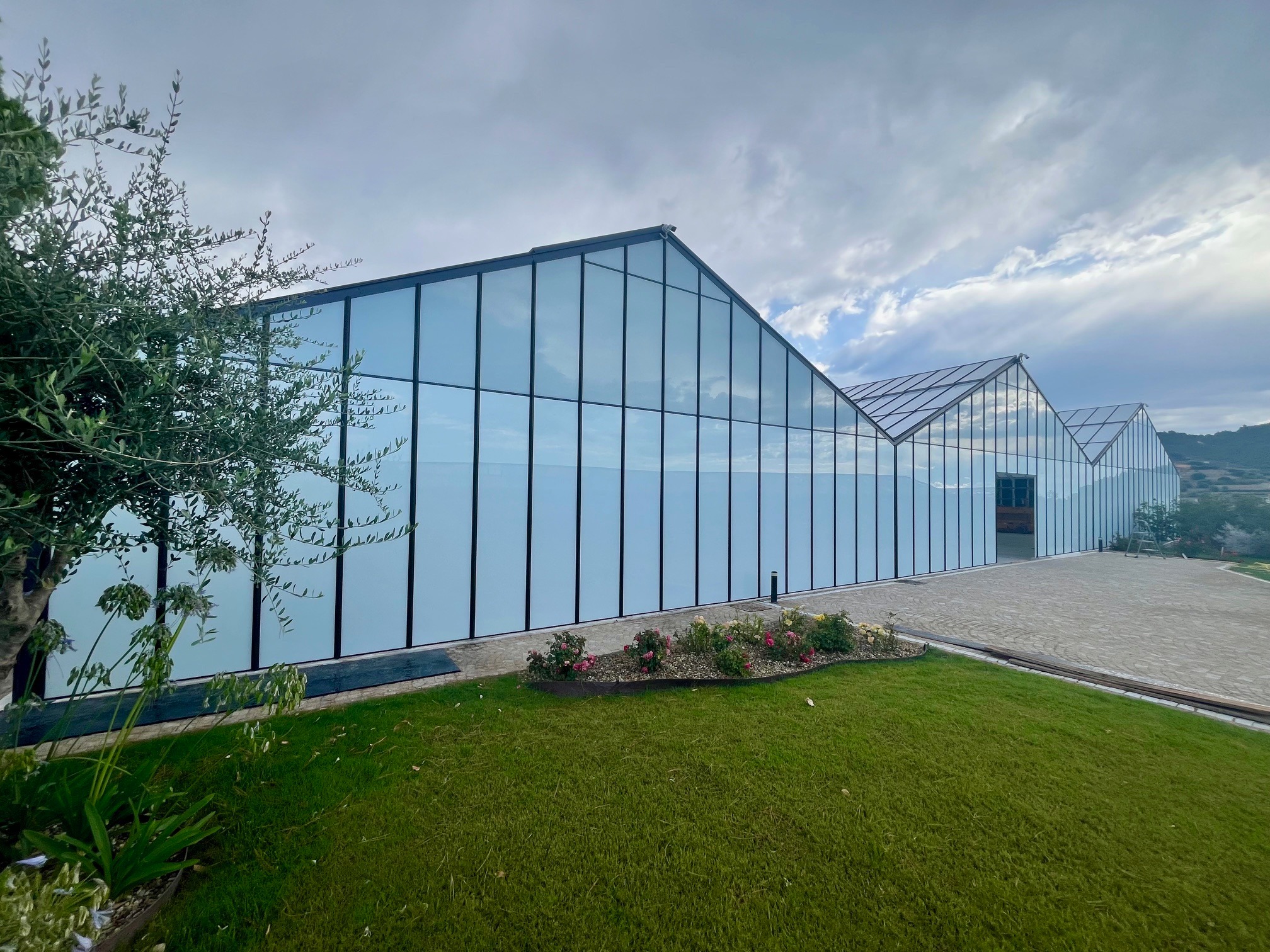 Szklarnia z czarnymi ramami, widok z zewnątrz, otoczona zielonym trawnikiem i kwiatami. Architektura z geometrycznymi liniami i odbiciem nieba w szkle.