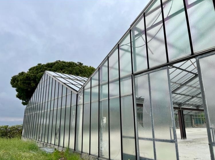 Szklarnia z uszkodzonymi szybami i metalową konstrukcją, widoczna z zewnątrz na tle pochmurnego nieba i zieleni. Część szyb jest pęknięta lub brakuje ich.