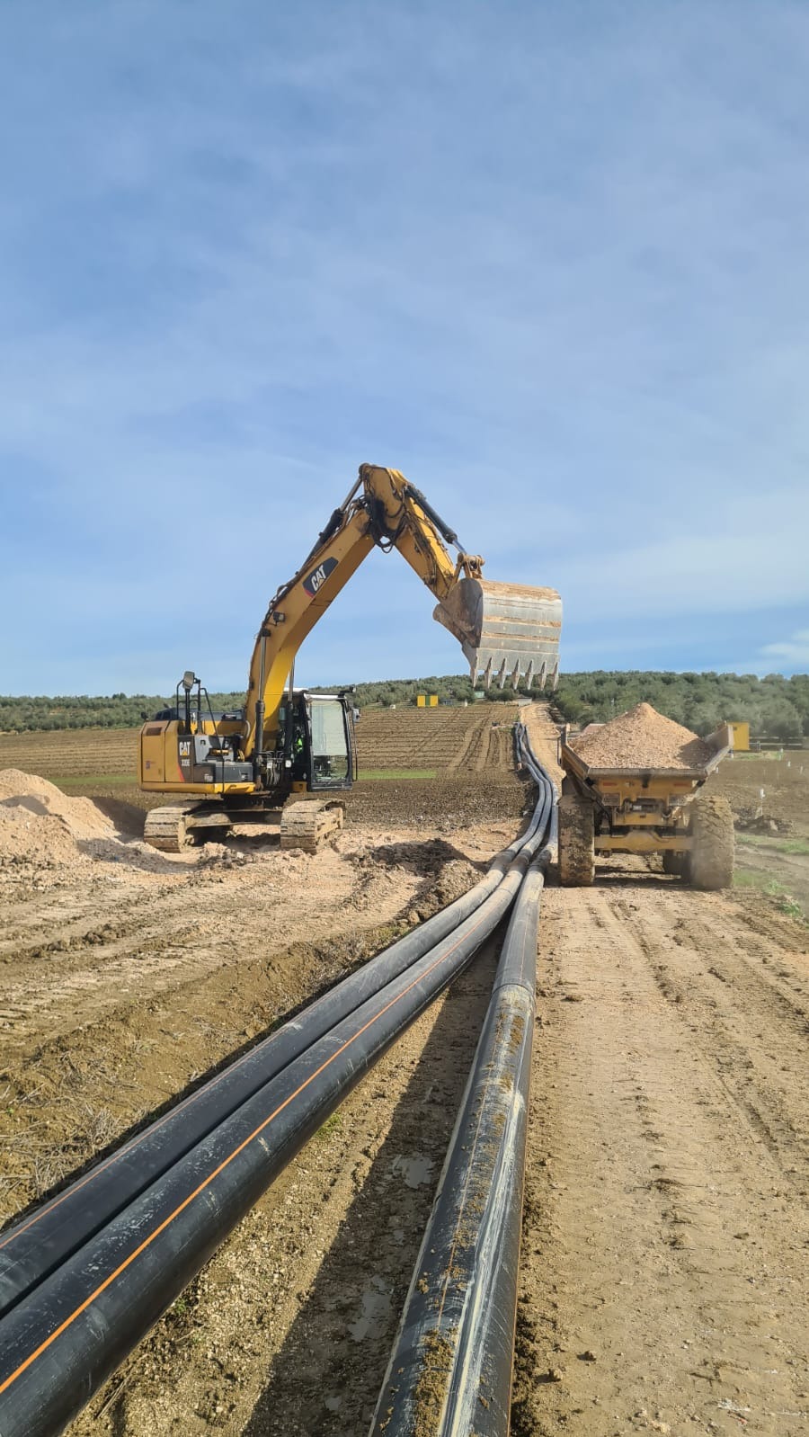 Żółta koparka CAT ładuje ziemię do wywrotki na tle pola z rzędami drzew, obok widoczne czarne rury. Prace ziemne w toku, błękitne niebo.