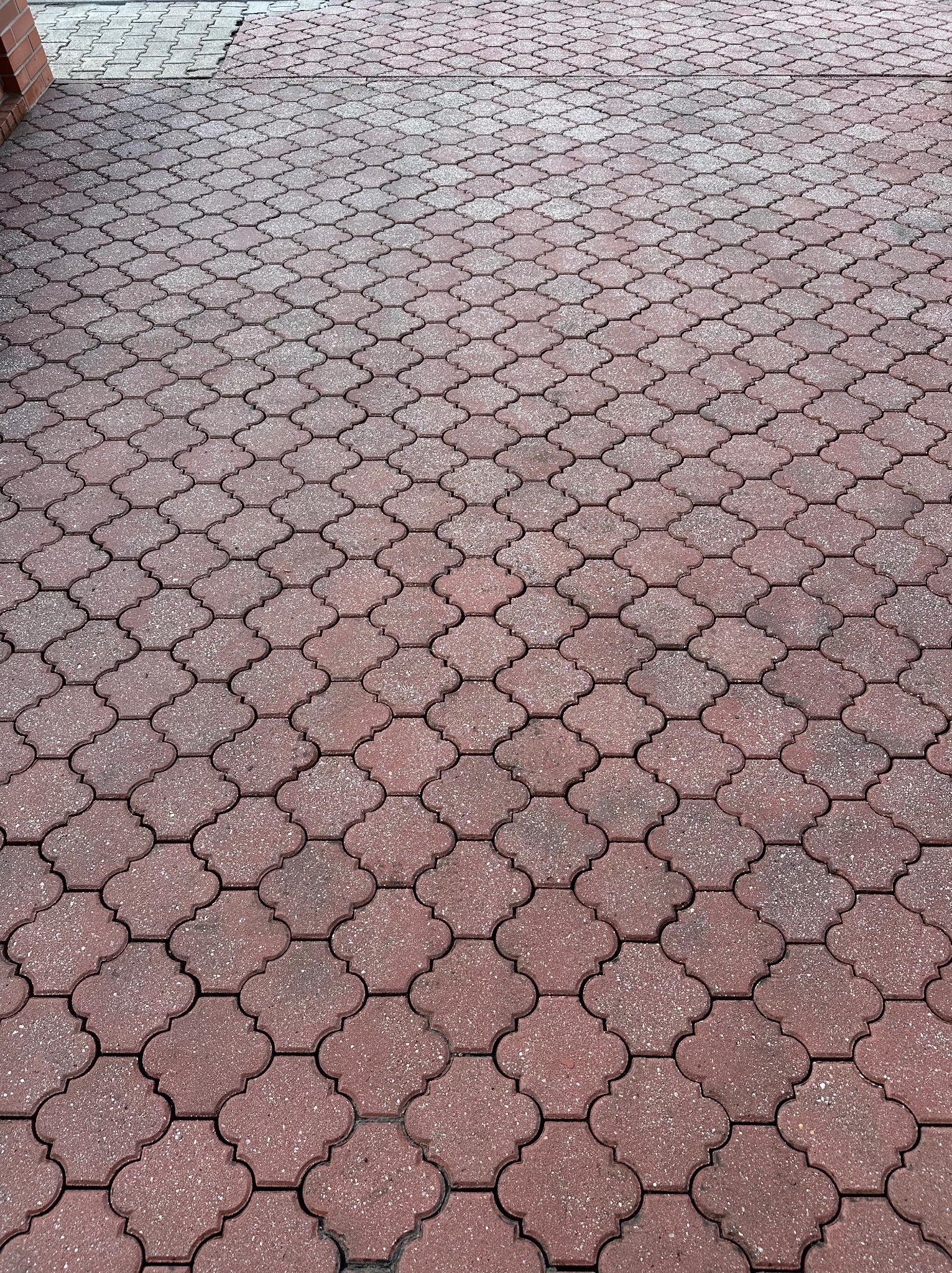 Czerwono-brązowa kostka brukowa ułożona w dekoracyjny wzór koniczyny, widoczna z perspektywy chodnika.