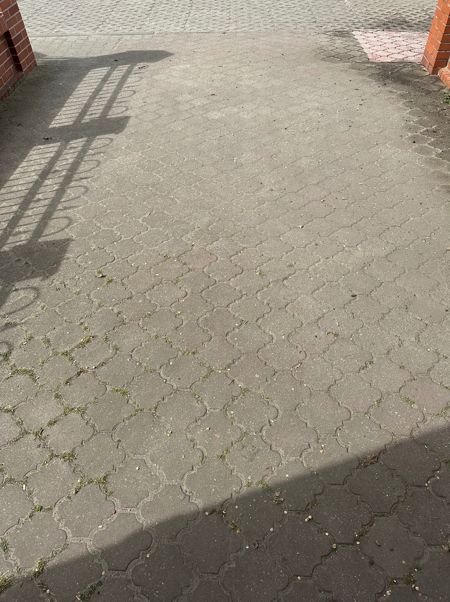 Szara kostka brukowa z delikatnym wzorem, częściowo zacieniona, z widocznymi źdźbłami trawy między kostkami.