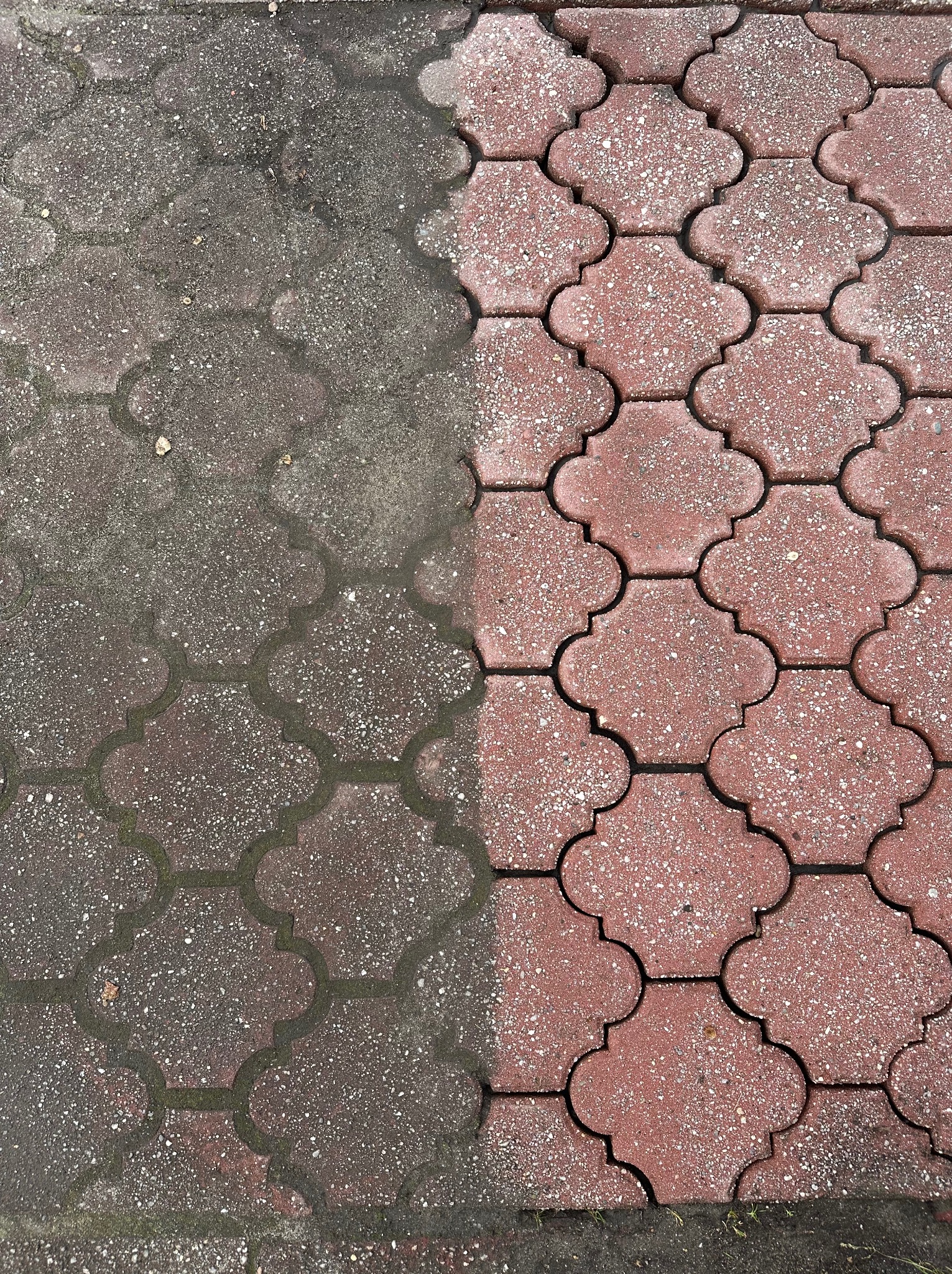 Częściowo oczyszczona czerwona kostka brukowa w kształcie koniczyny, ukazująca kontrast pomiędzy brudną i czystą powierzchnią.