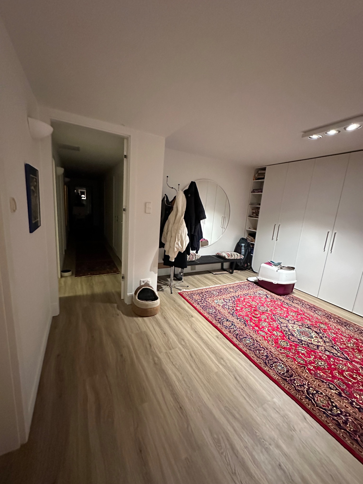 Wnętrze mieszkania z panelami podłogowymi, widoczny dywan orientalny, szafa w zabudowie i akcesoria dla zwierząt.