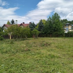 Karol pa - Trawa po skoszeniu na działce z domami w tle, widoczne resztki trawy i nierówności terenu.