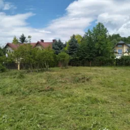 Trawa po skoszeniu na działce z domami w tle, widoczne resztki trawy i nierówności terenu.