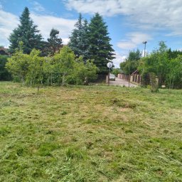 Karol pa - Świeżo skoszona trawa na rozległym trawniku przed domem z iglakami i krzewami, widok na ulicę z zaparkowanym samochodem.